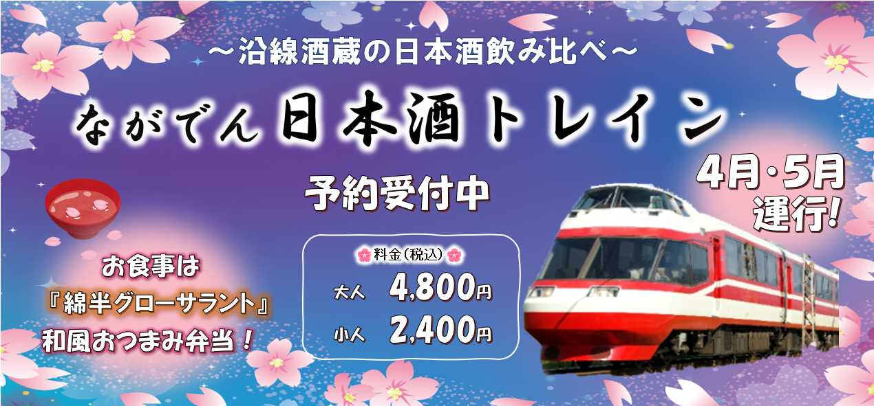 nihonshutrain